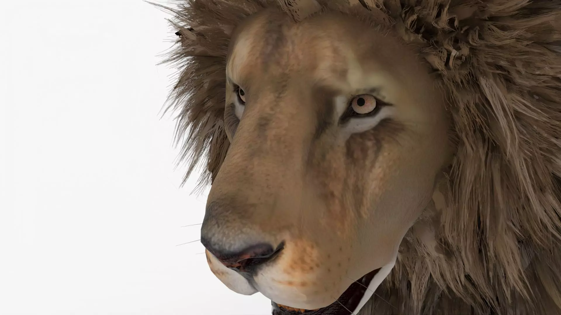 Realistic Scan Lion Low-poly 3D model_0