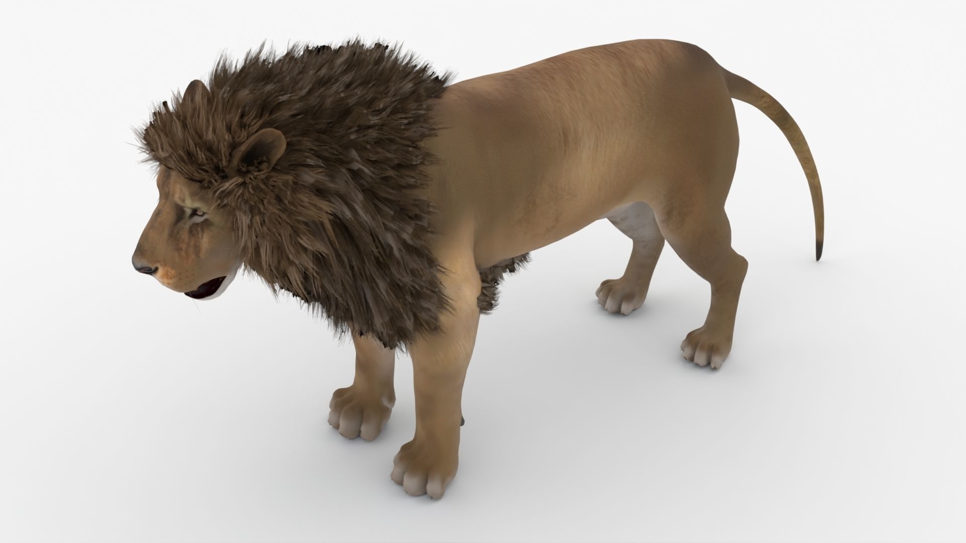 Realistic Scan Lion Low-poly 3D model_6
