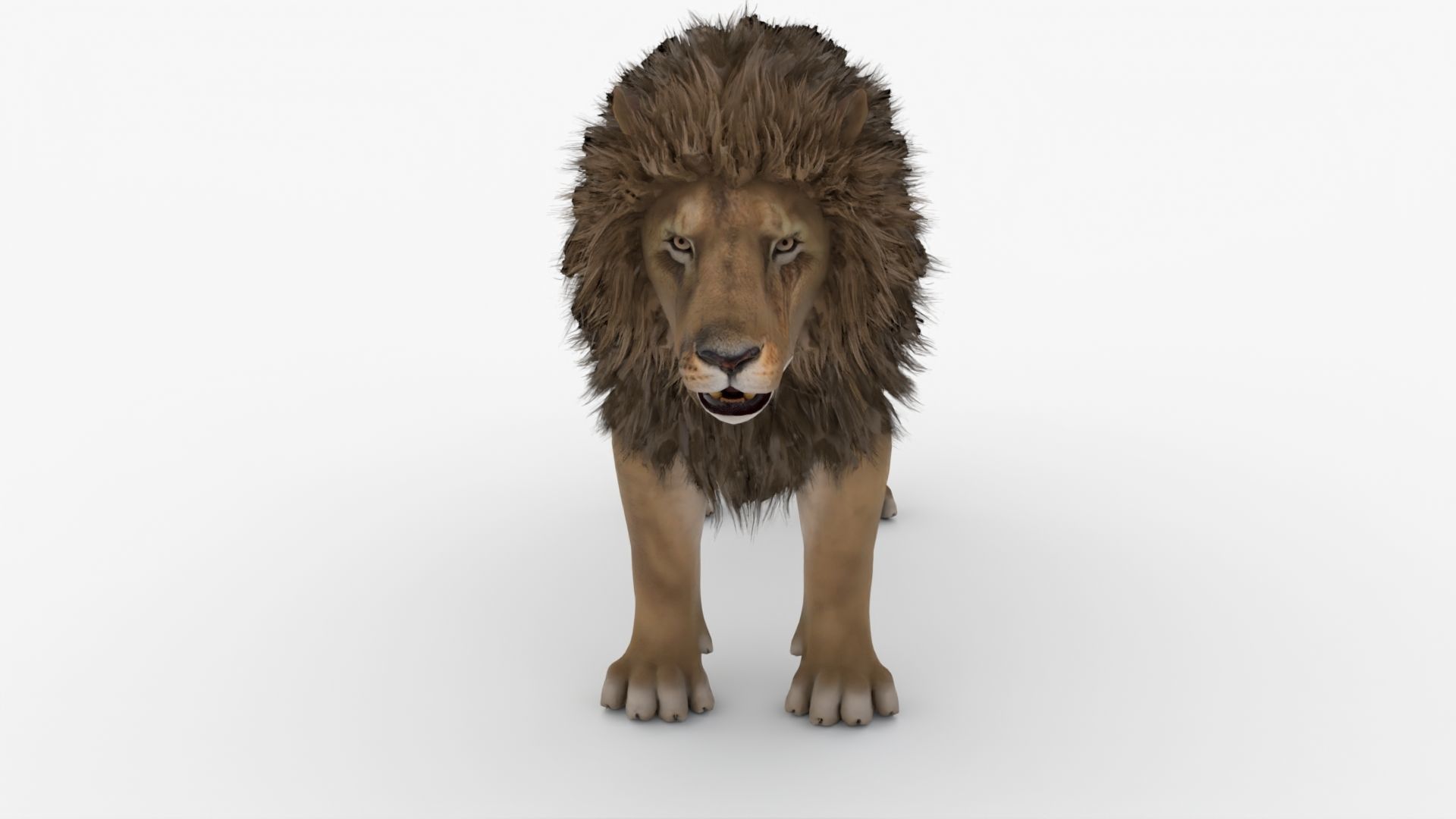Realistic Scan Lion Low-poly 3D model_2