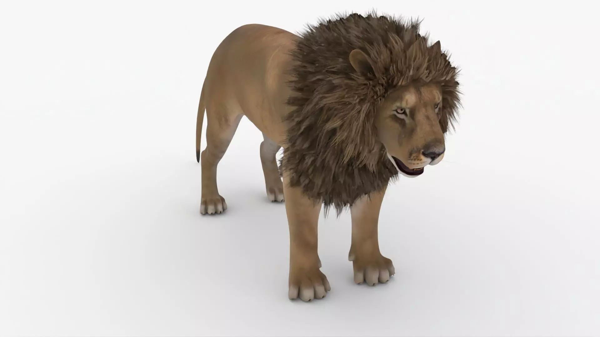 Realistic Scan Lion 3D model