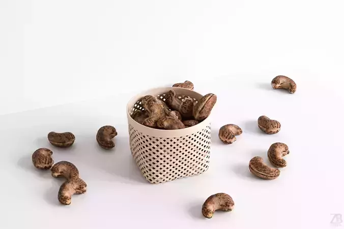 Cashew 3D model