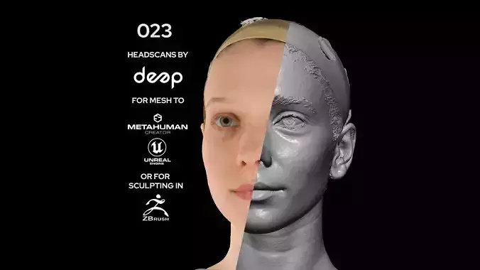 European Female 30s head scan 023 3D model