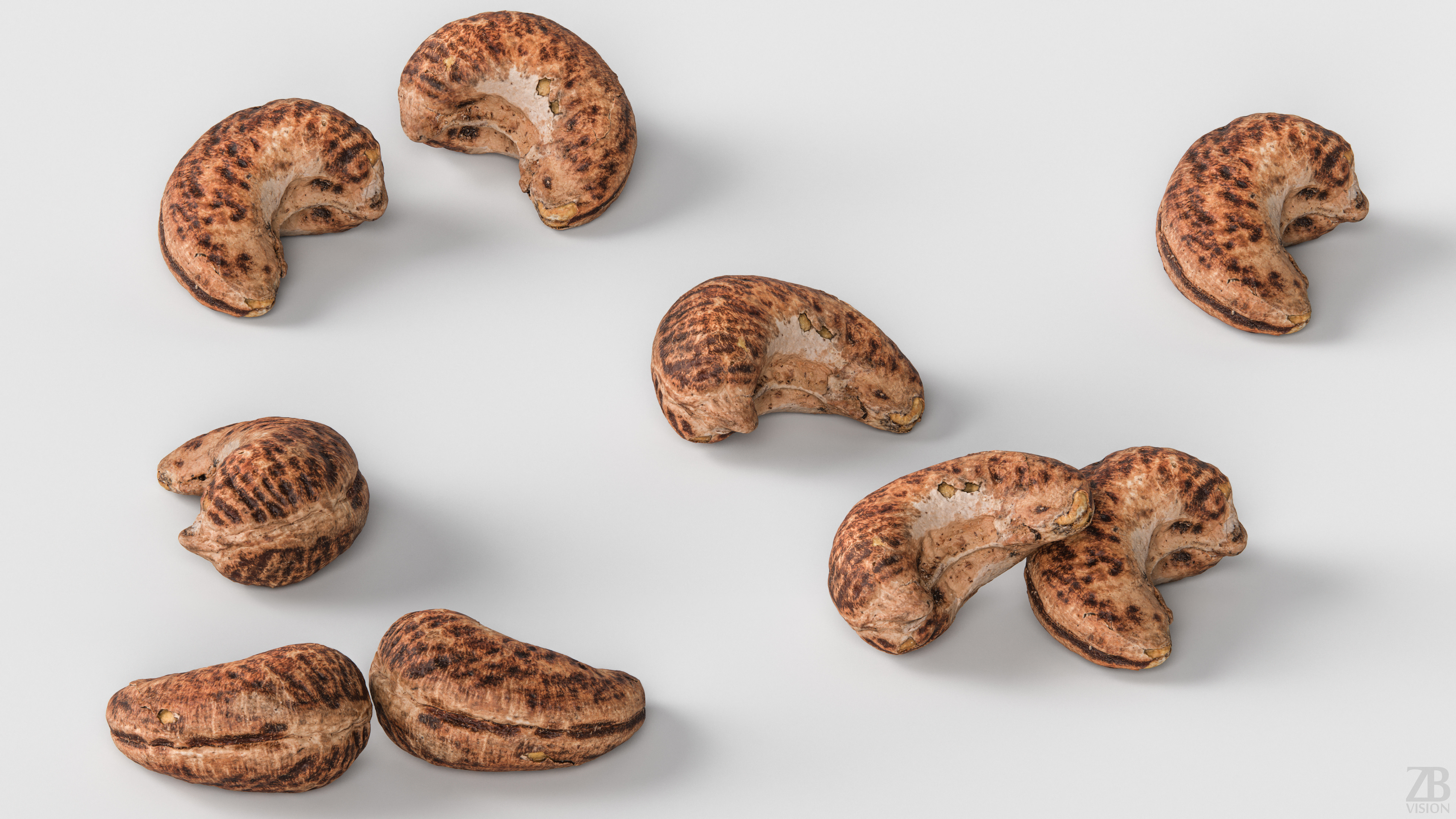 Cashew 3D model_2