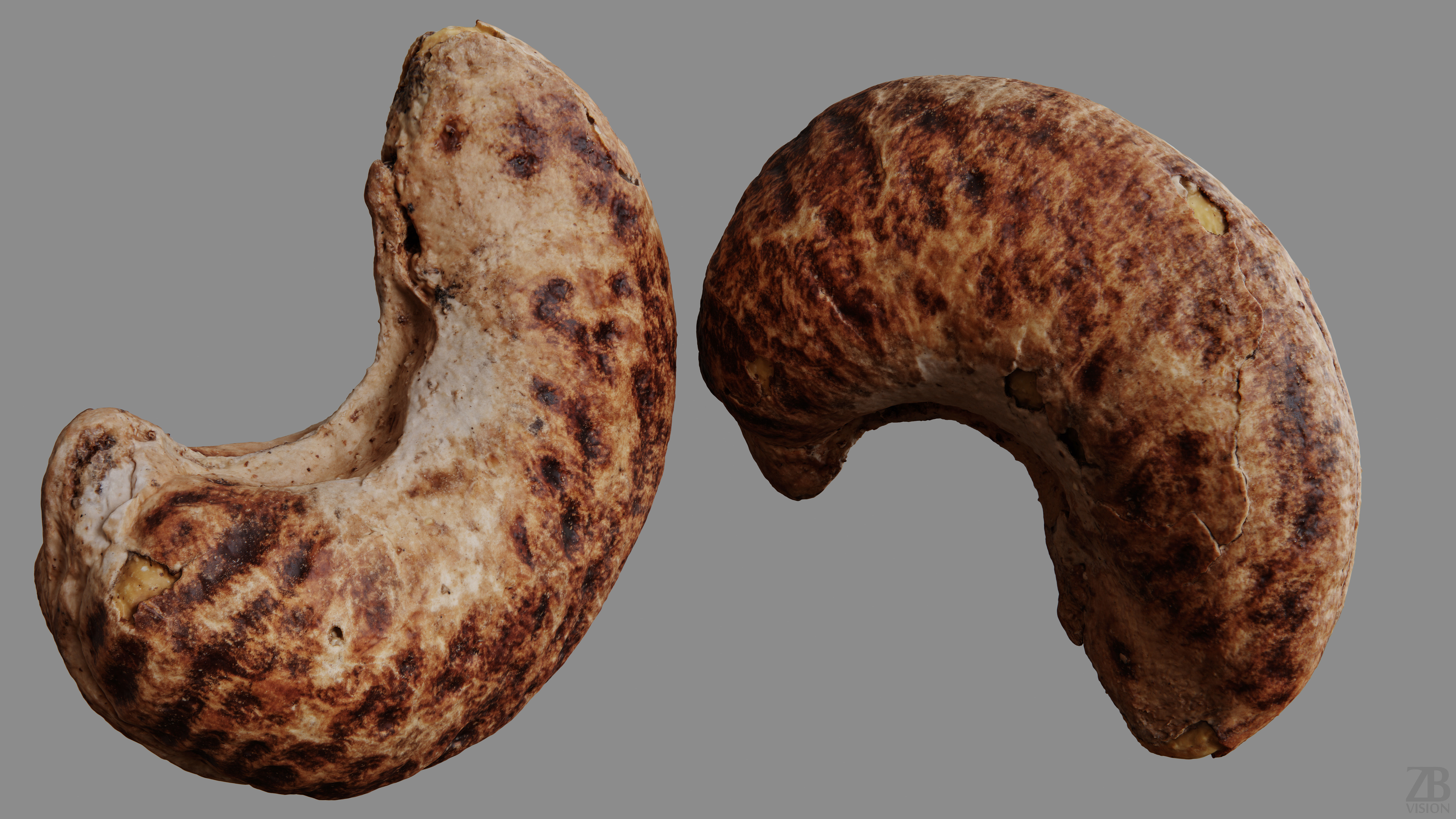 Cashew 3D model_9