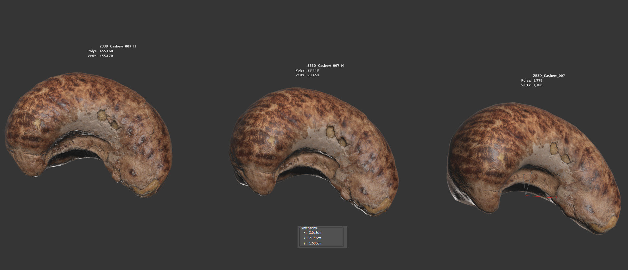 Cashew 3D model_5