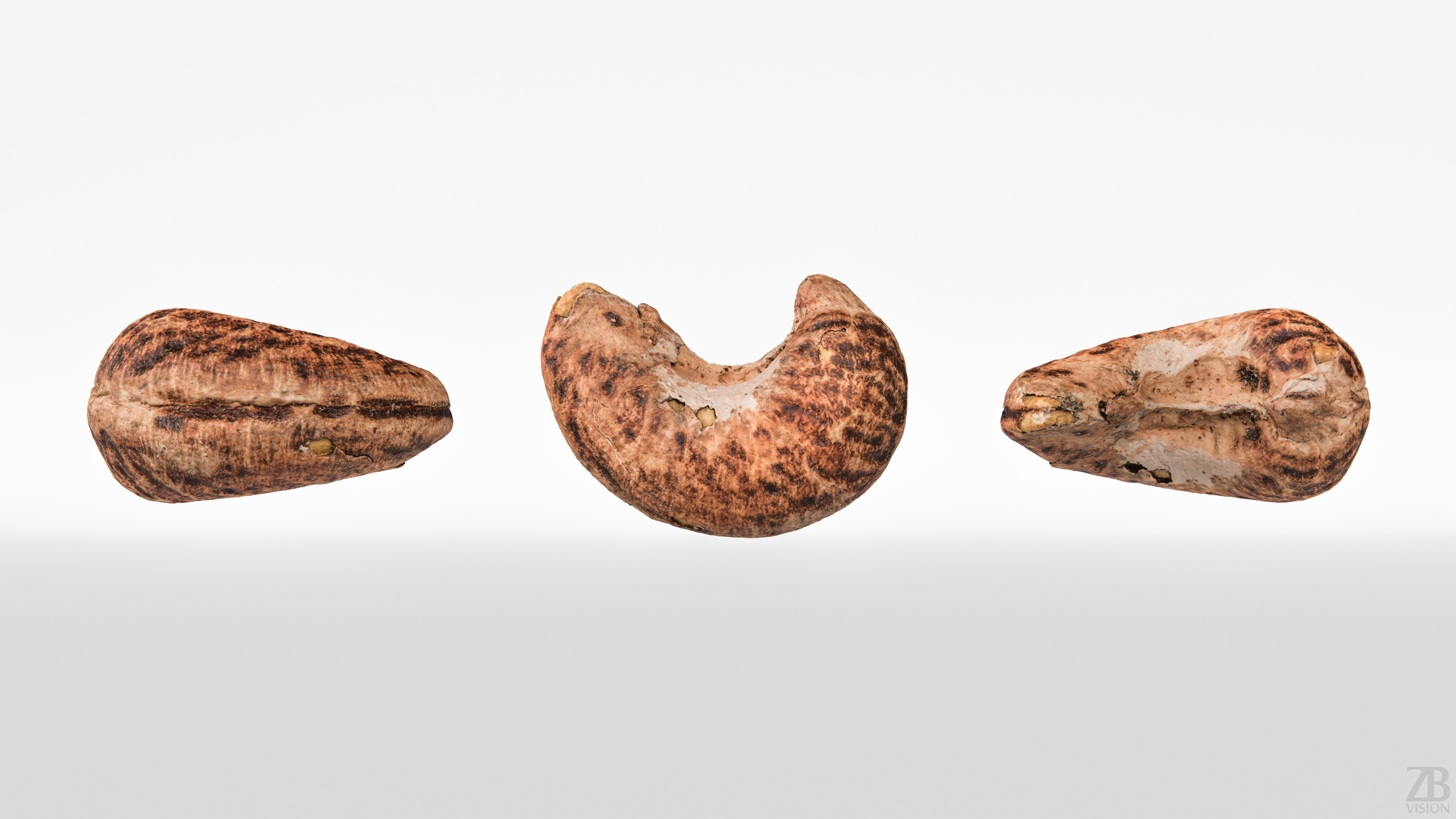 Cashew 3D model_4