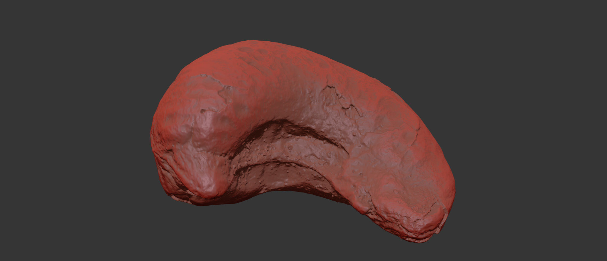Cashew 3D model_7