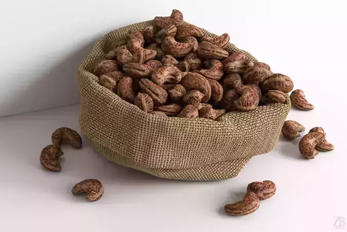 Cashew 3D model