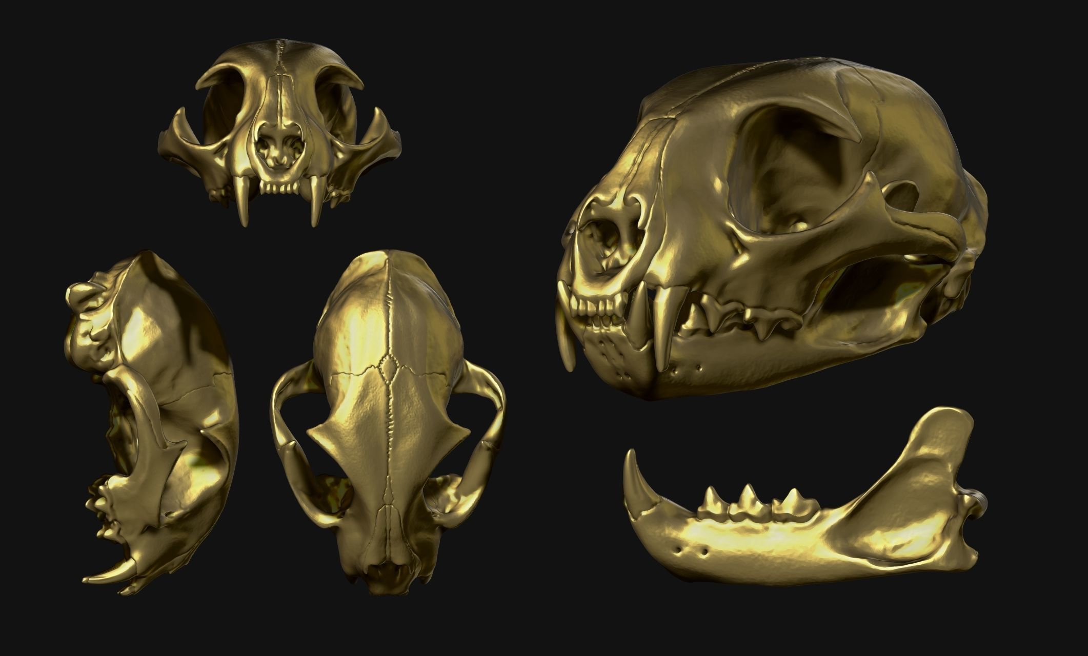 Lynx rufus - Red Lynx Skull CNC and 3D print model_19