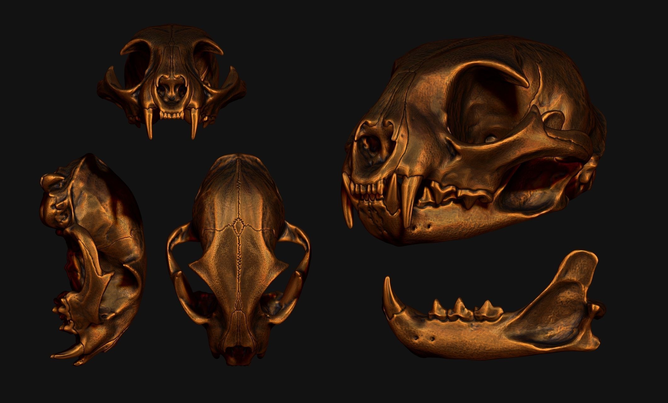 Lynx rufus - Red Lynx Skull CNC and 3D print model_20