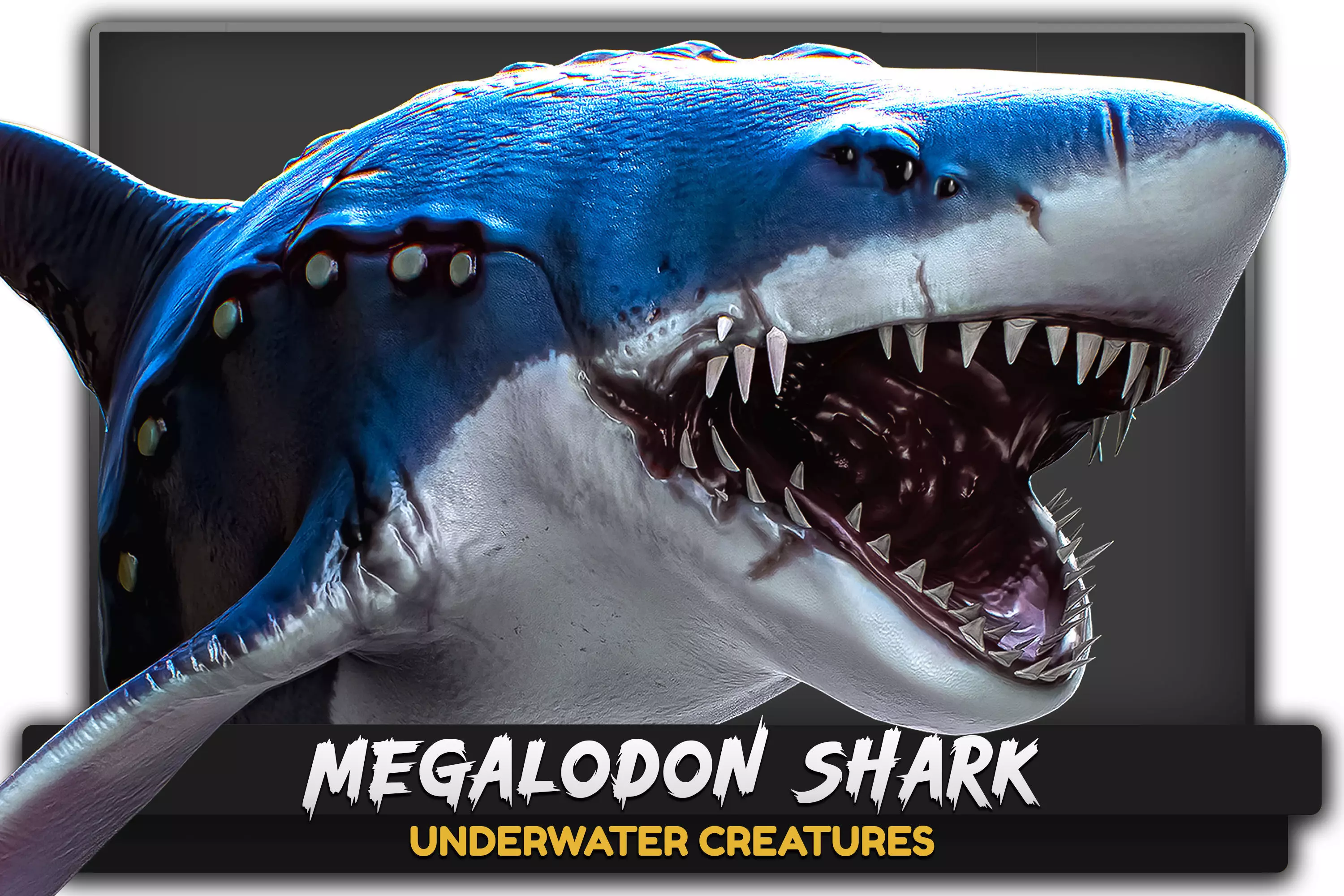 Megalodon Shark Model GameReady Ocean Predator Low poly fish - 7 Low-poly 3D model_0