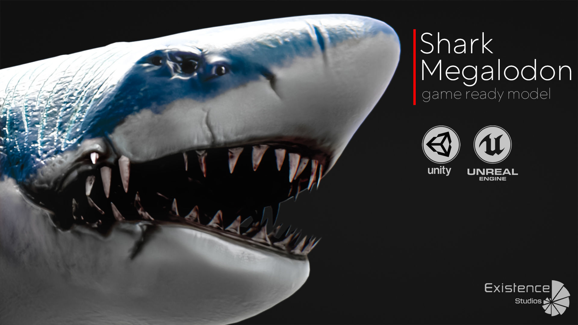 Megalodon Shark Model GameReady Ocean Predator Low poly fish - 7 Low-poly 3D model_3
