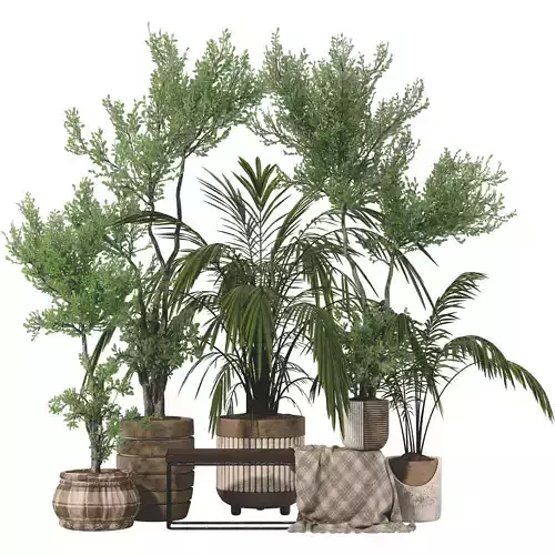 Decorative parlour Palm and tree in pot  109 3D model