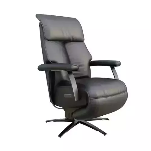 Troesser Relaxsessel 341 Swivel Recliner Chair