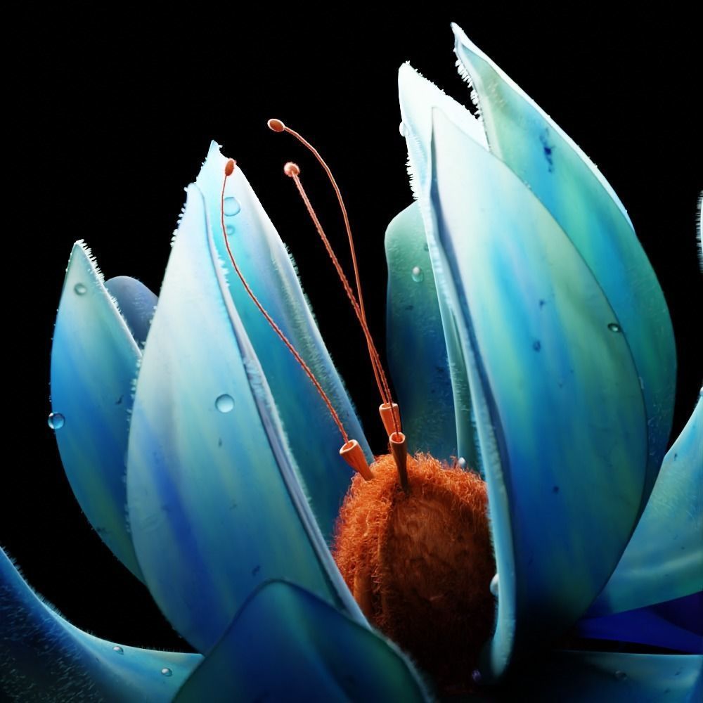 Unique Flower 3D model_1
