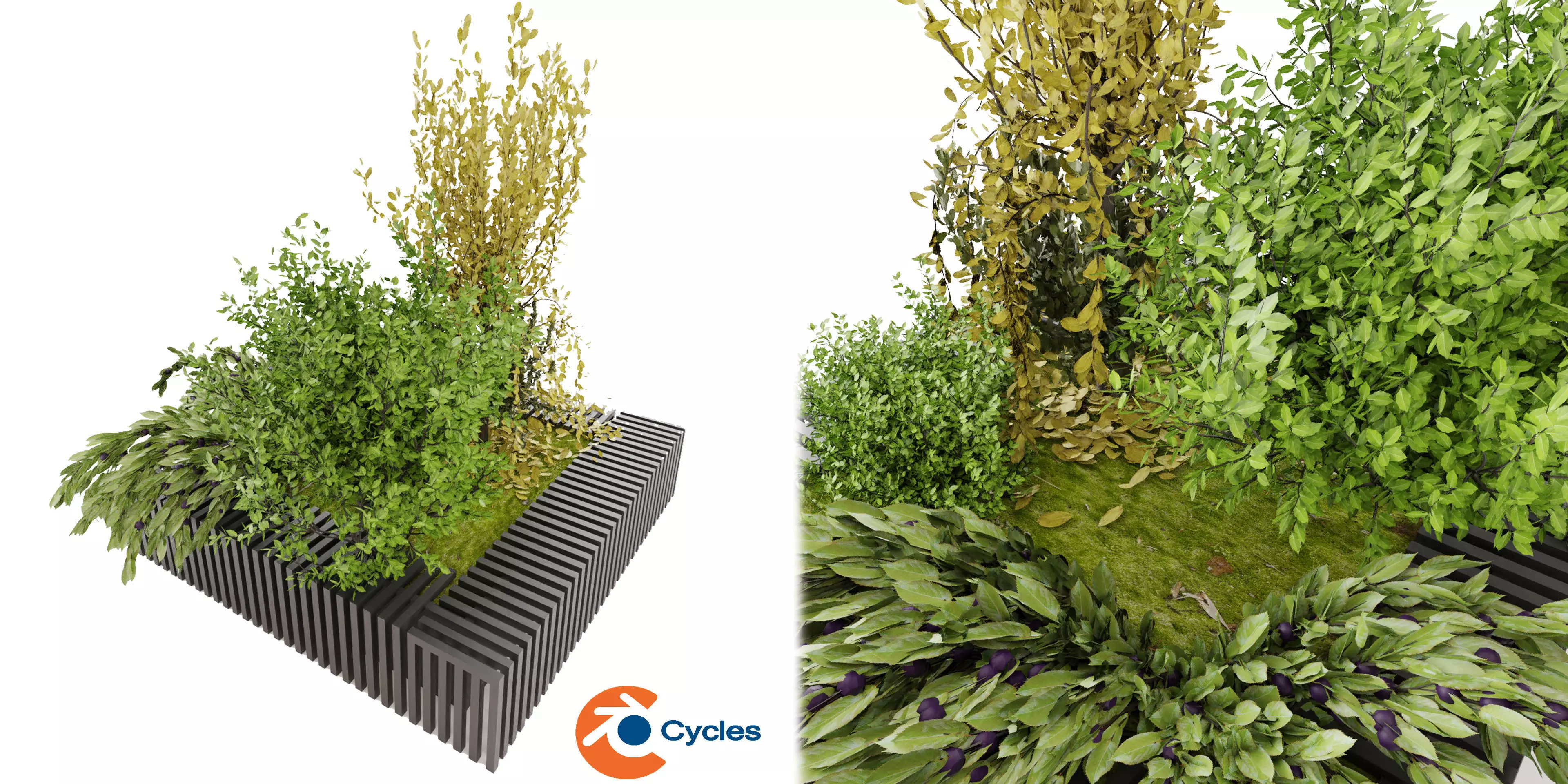 Collection plant vol 23 - blender model 3D model_0