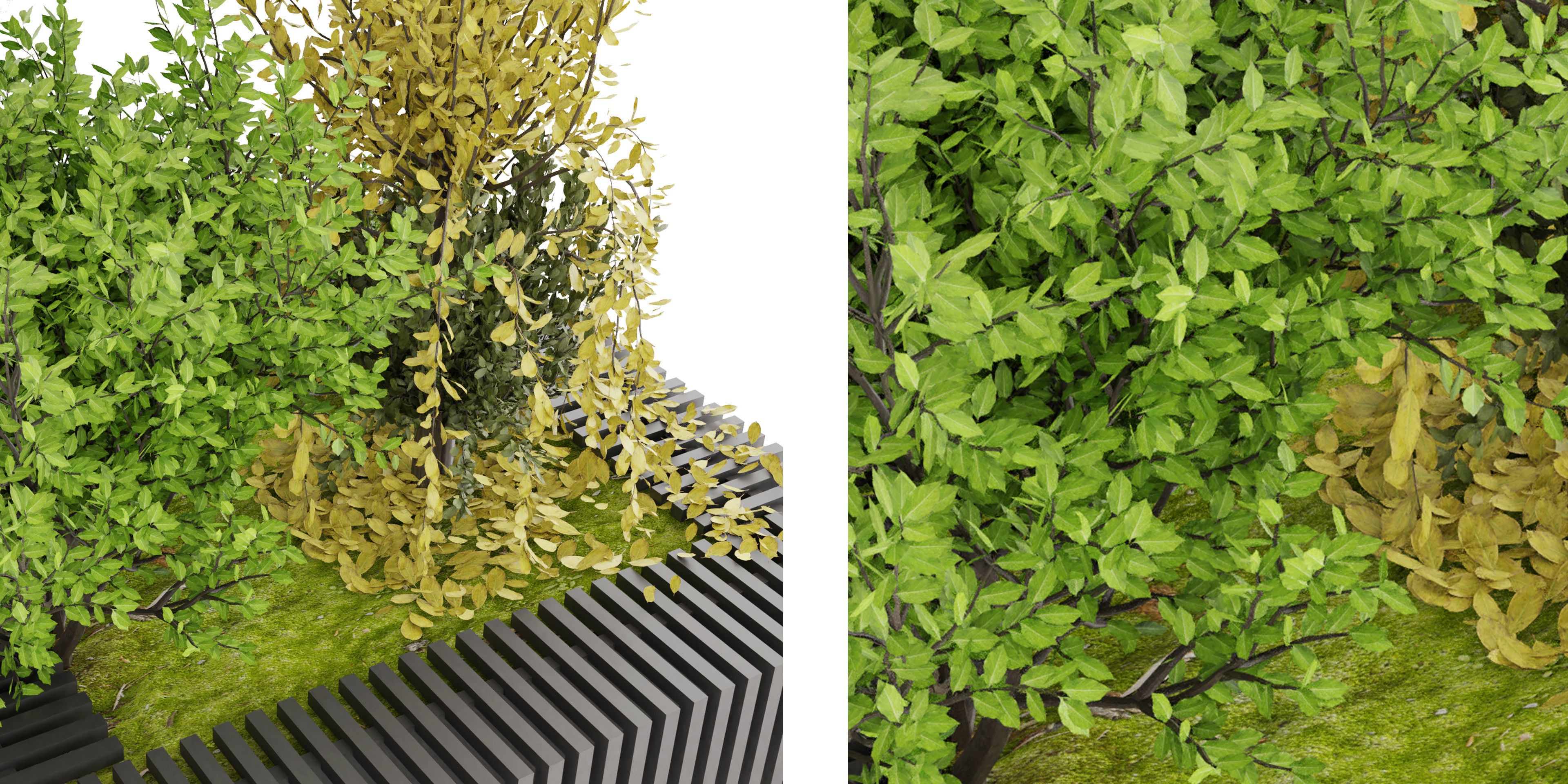 Collection plant vol 23 - blender model 3D model_4