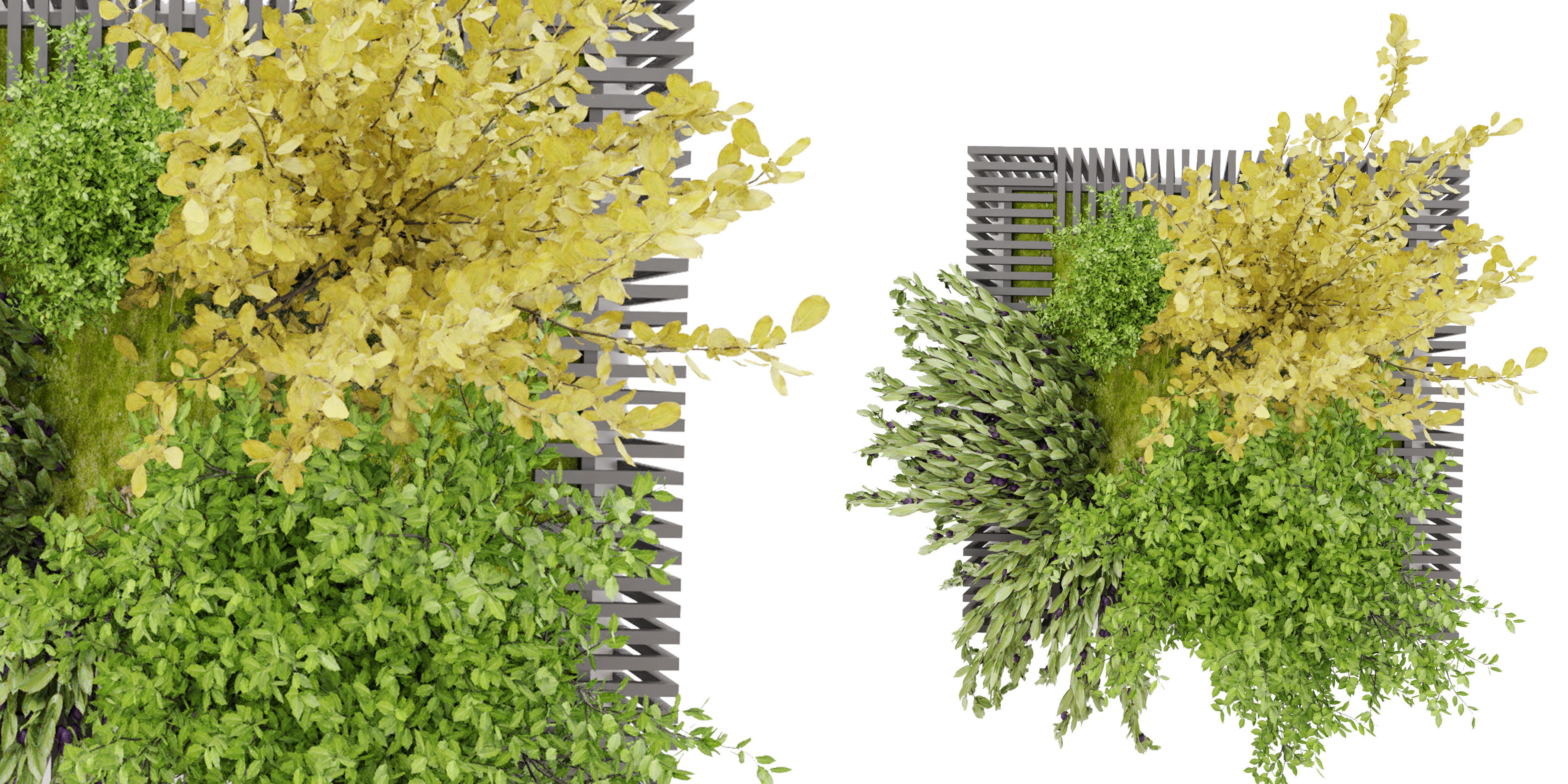 Collection plant vol 23 - blender model 3D model_2