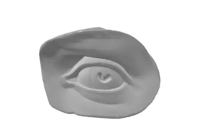 Michelangelo s David Eye