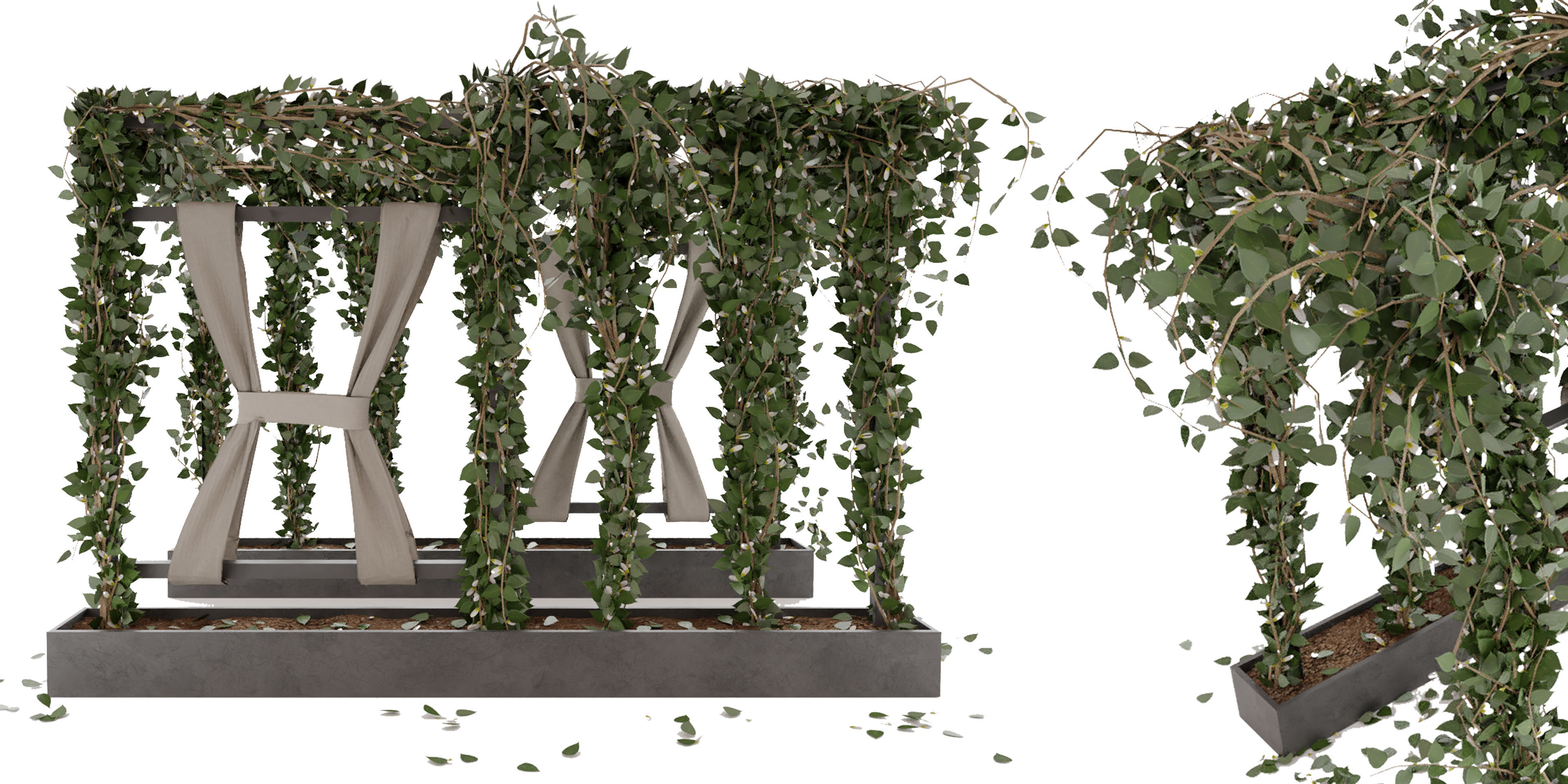 Collection plant vol 28 - blender model 3D model_2