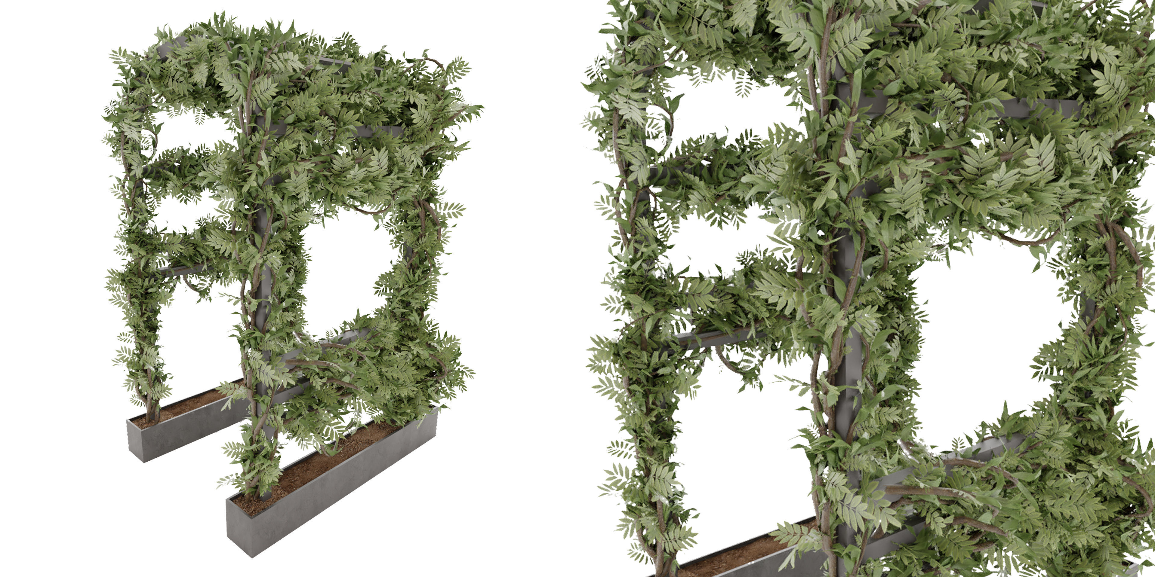 Collection plant vol 29 - blender model 3D model_1