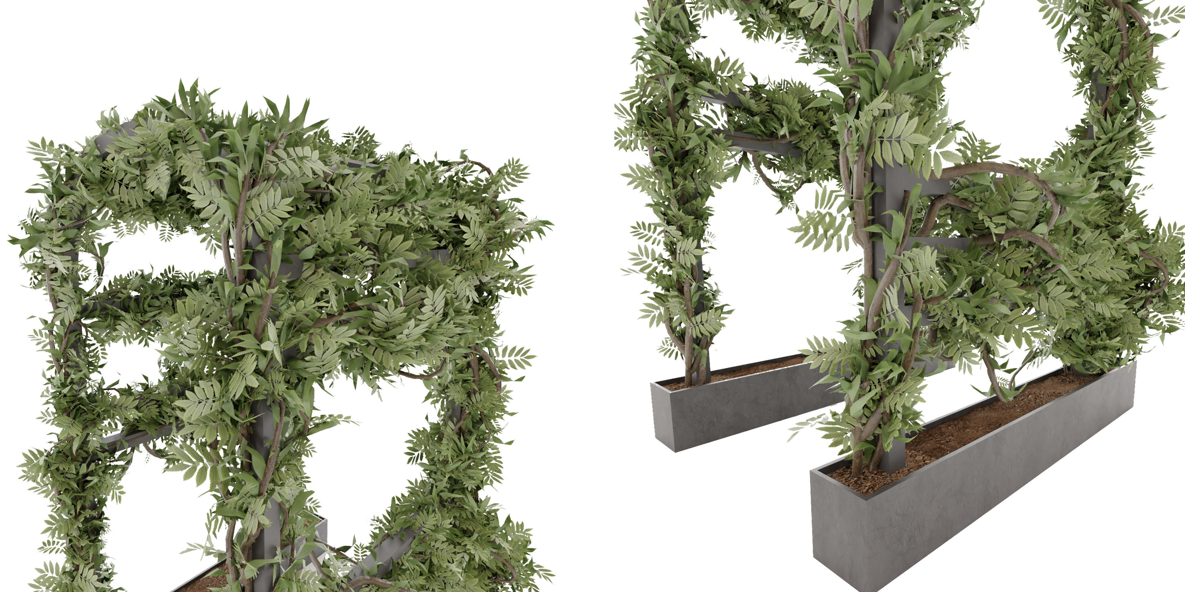 Collection plant vol 29 - blender model 3D model_4