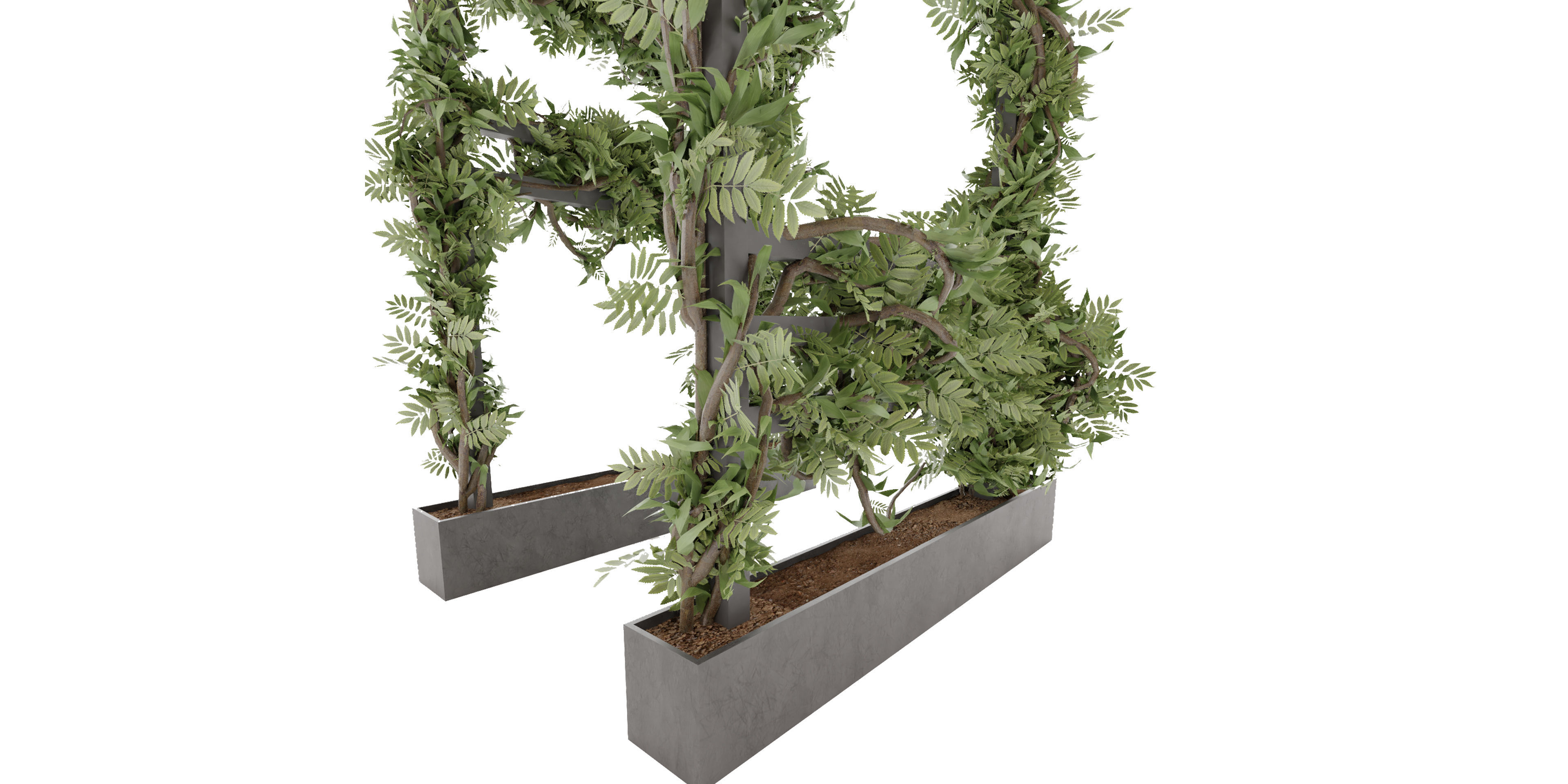 Collection plant vol 29 - blender model 3D model_3