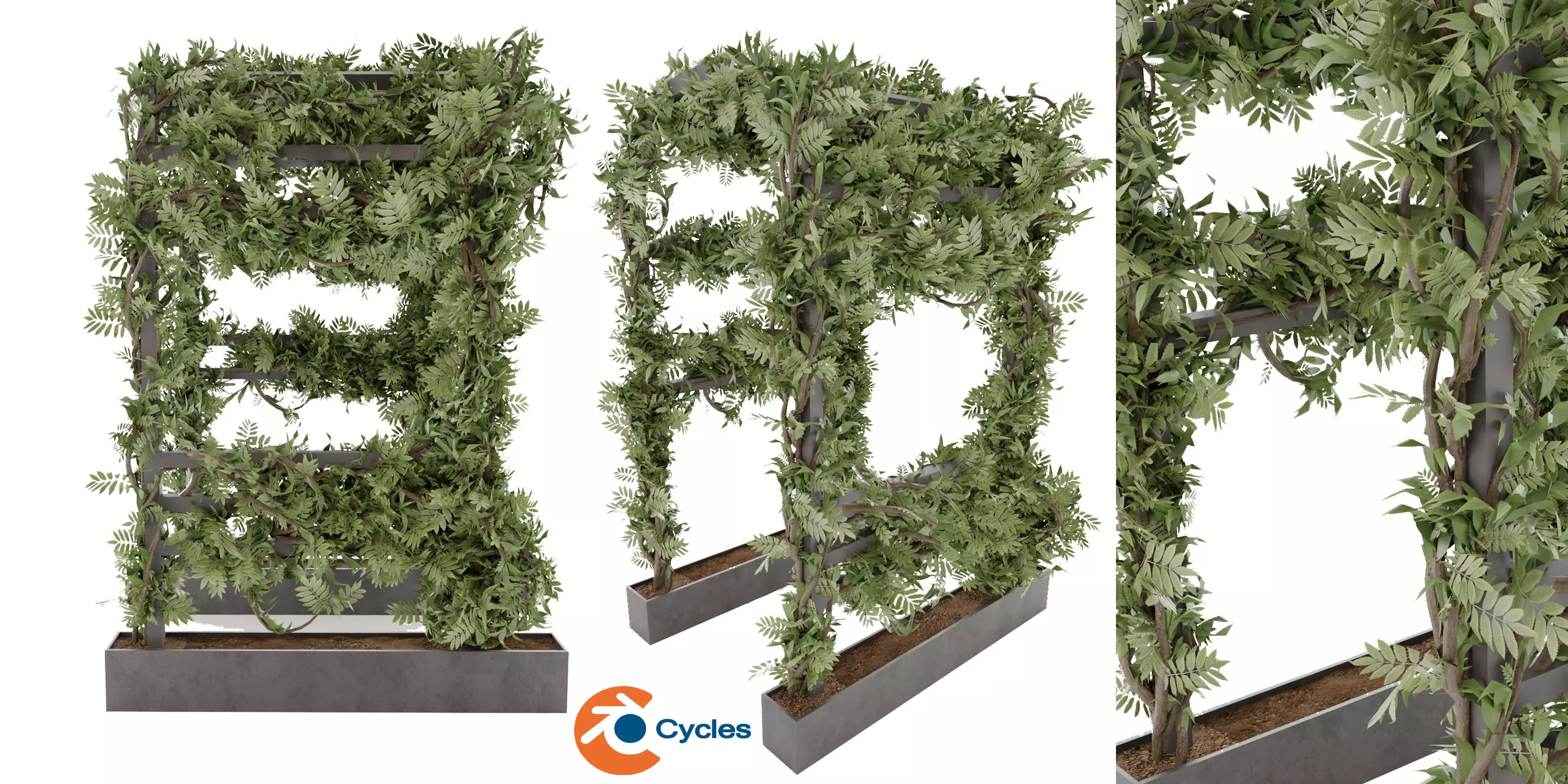 Collection plant vol 29 - blender model 3D model_0