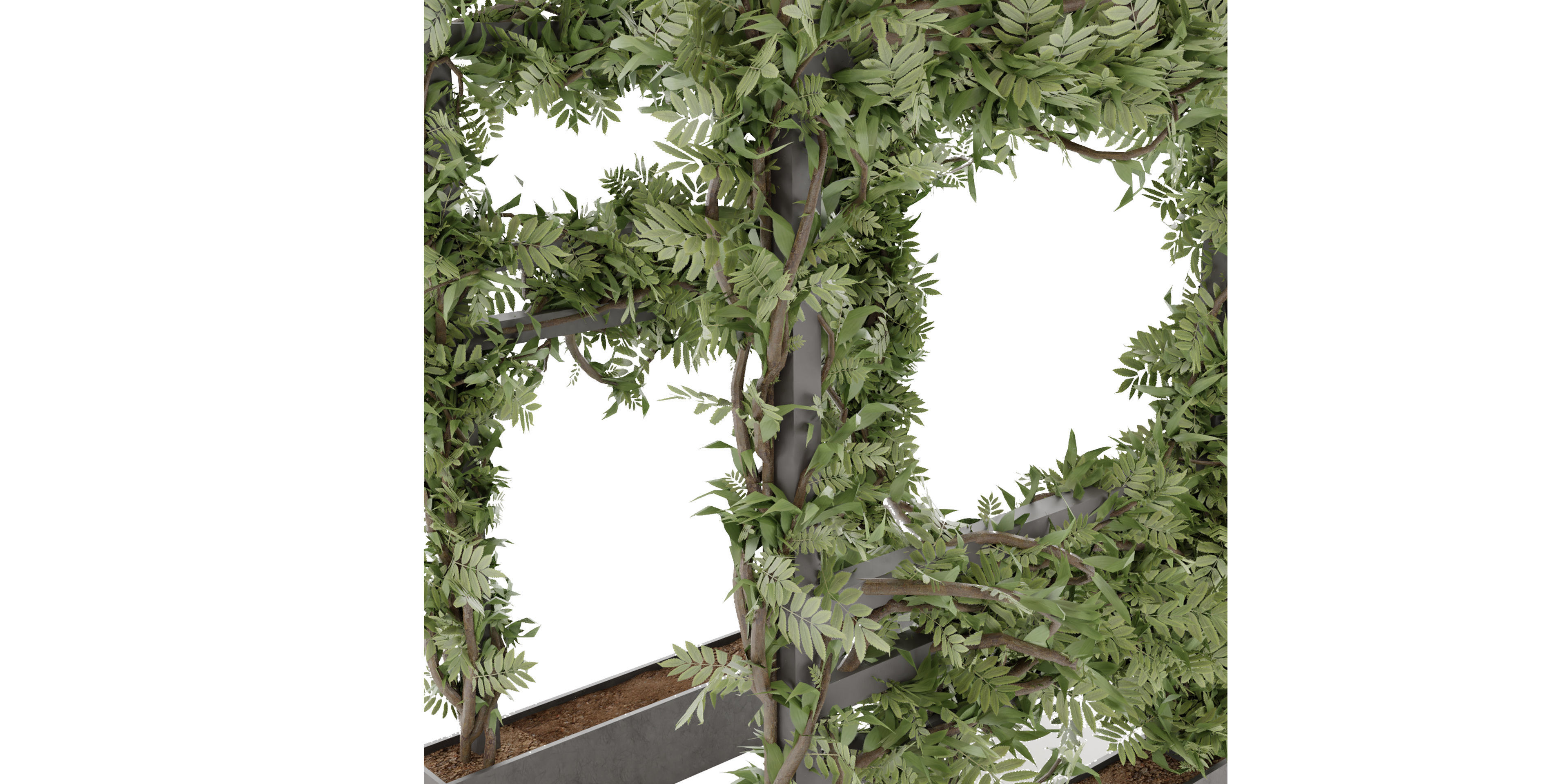 Collection plant vol 29 - blender model 3D model_2