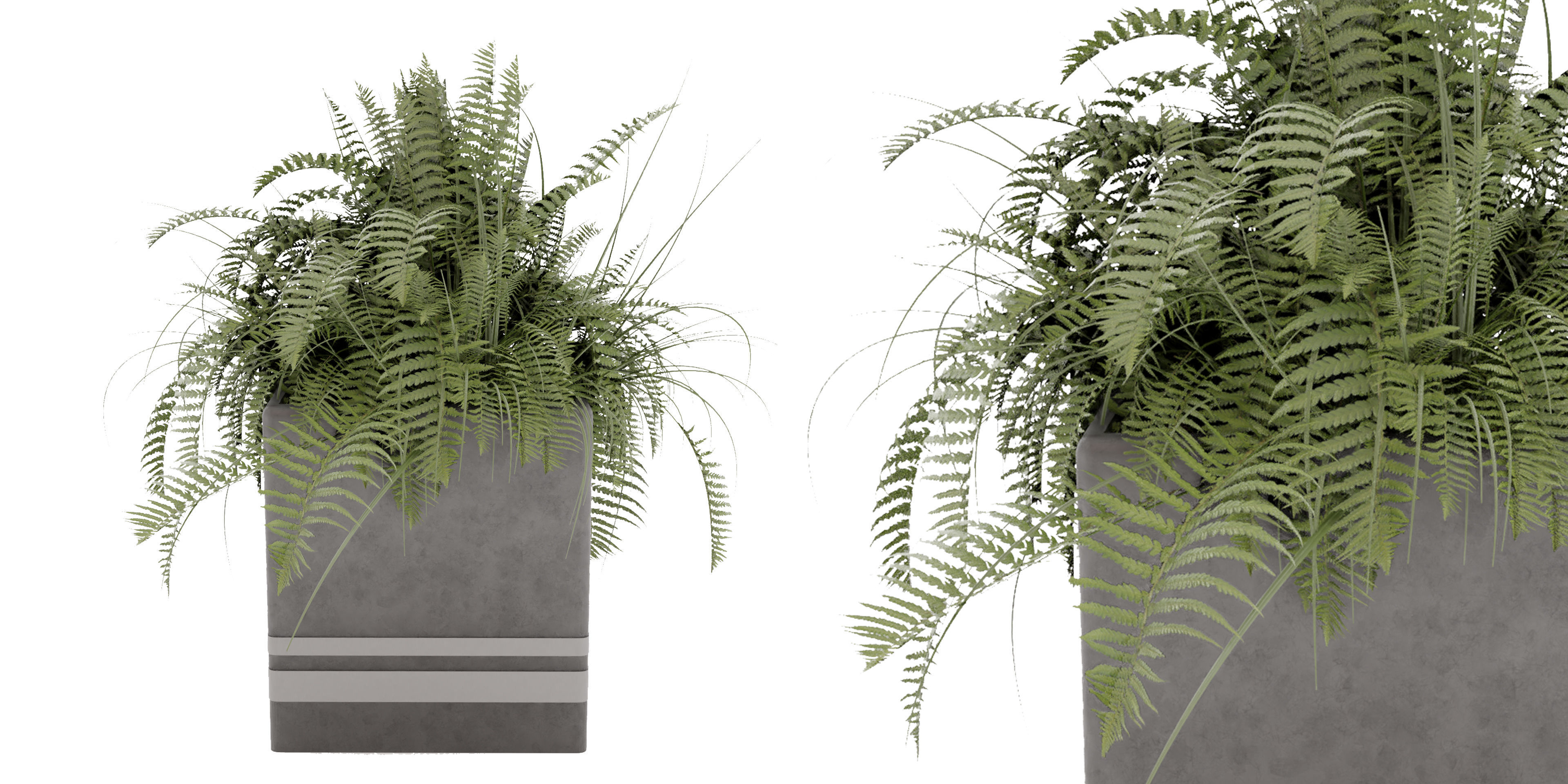 Collection plant vol 31 - blender model 3D model_1