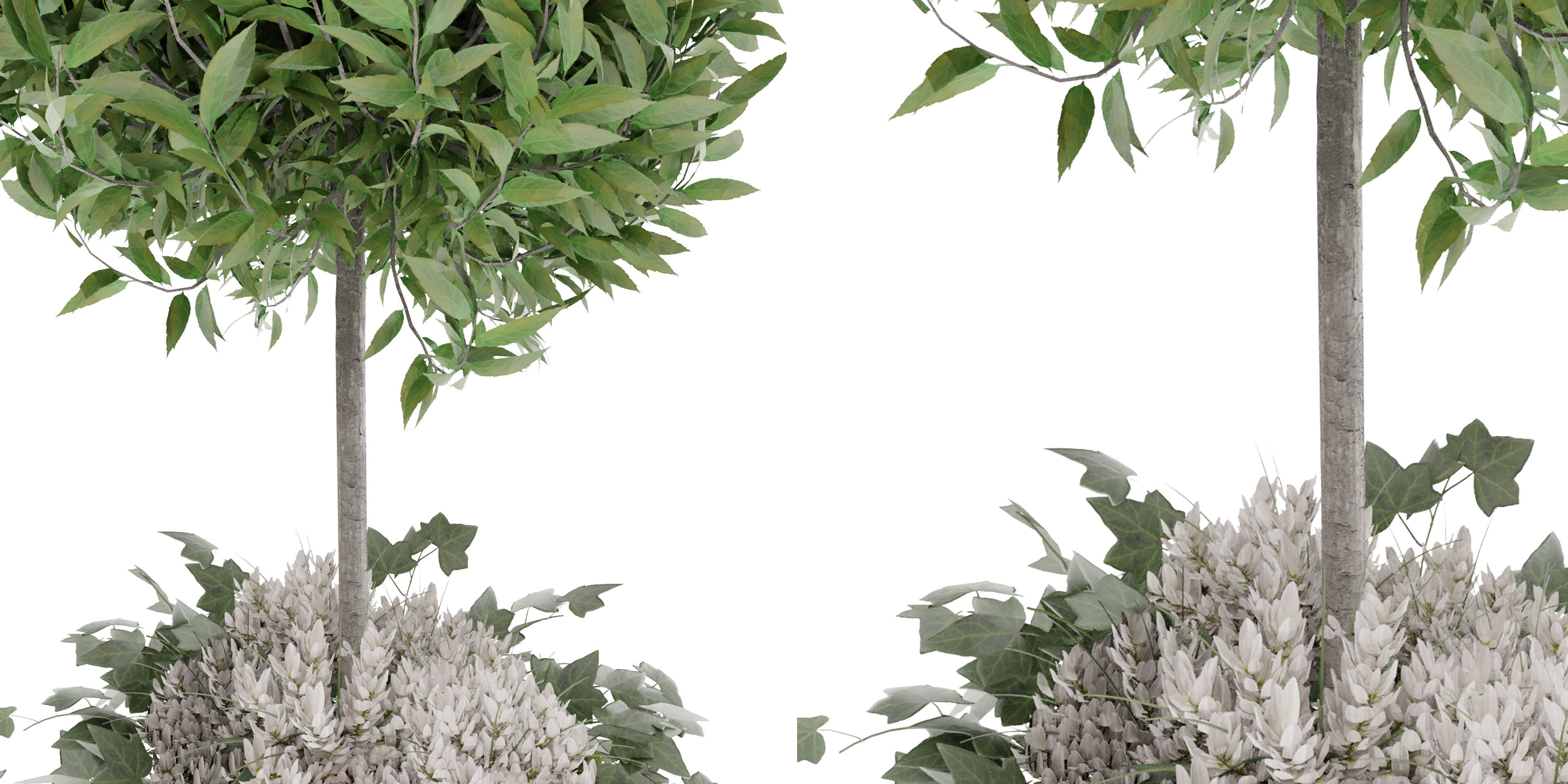 Collection plant vol 31 - blender model 3D model_4