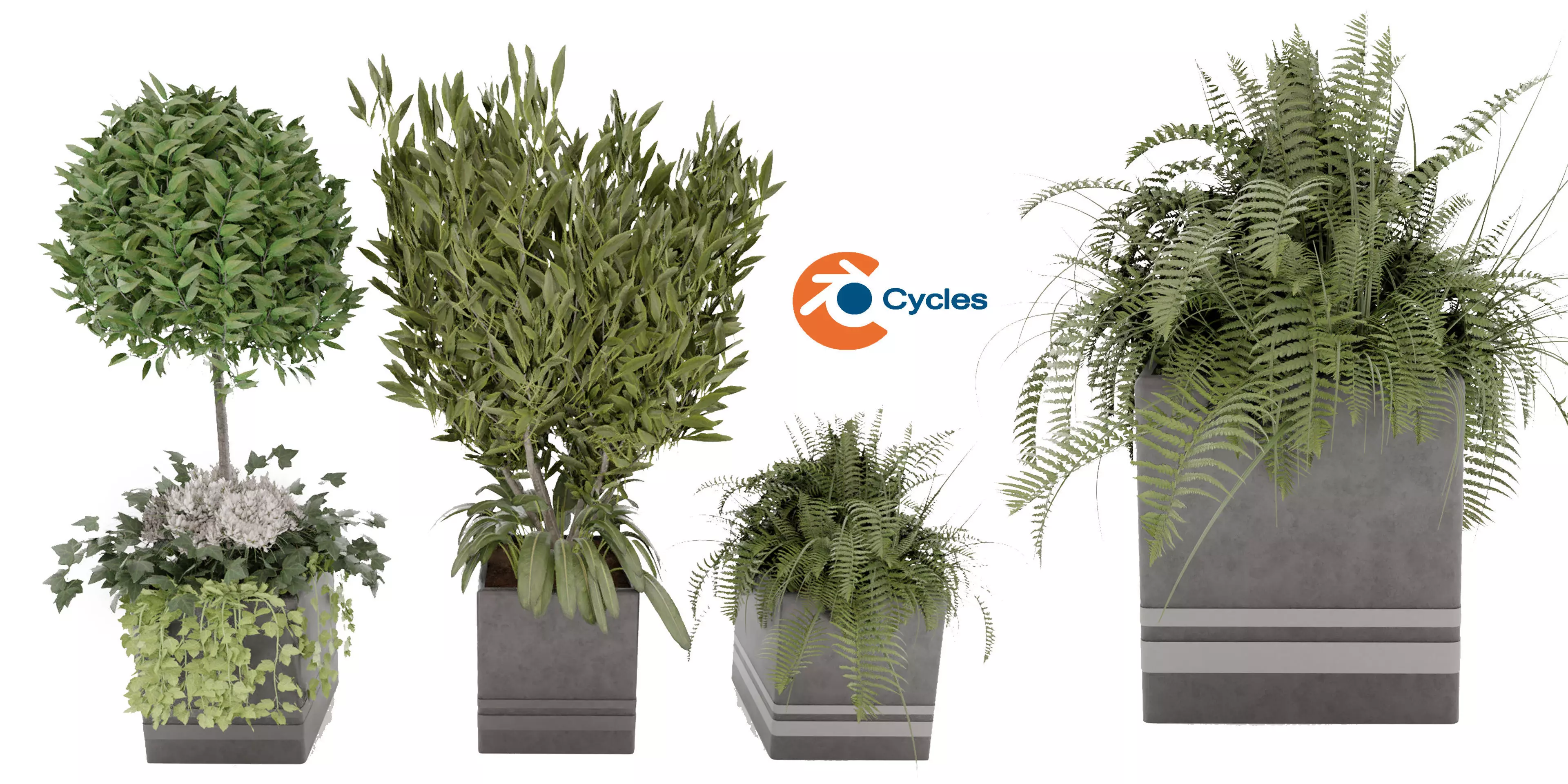 Collection plant vol 31 - blender model 3D model_0