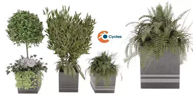 Collection plant vol 31 - blender model