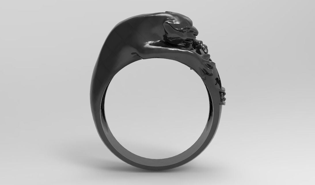 panthera attak ring 3D print model_5