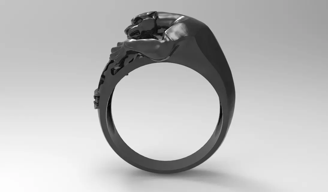 panthera attak ring 3D print model_0