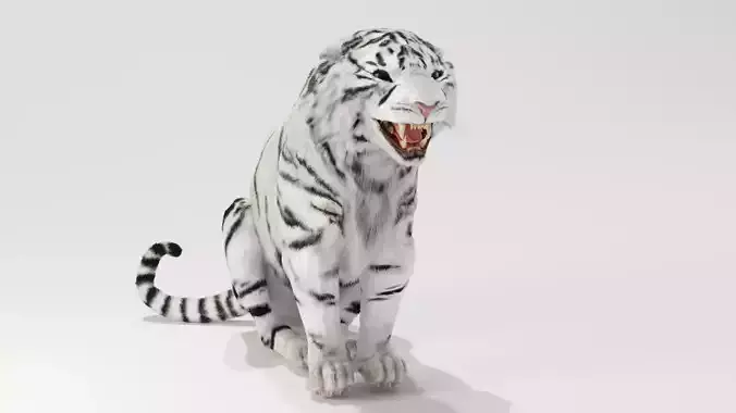 White tiger 3D model