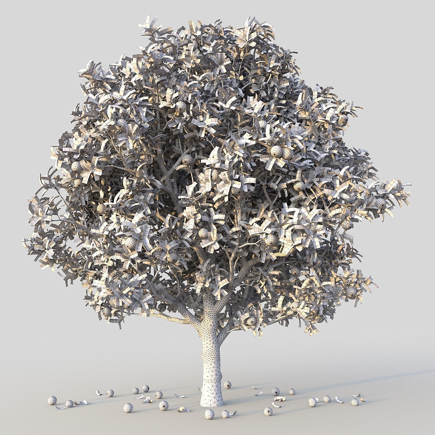 Orange Tree 3D model_6