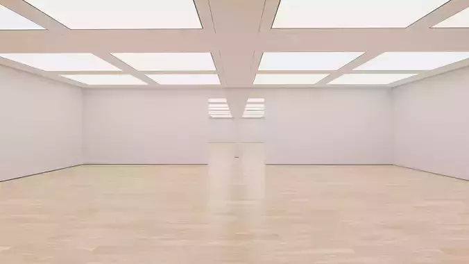 Art Museum Gallery Interior 41