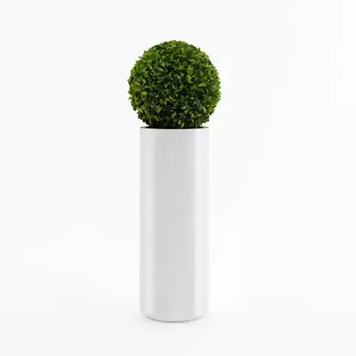 Spherical house plant 3D model