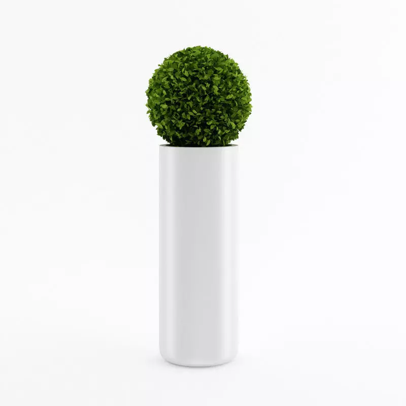 Spherical house plant 3D model_0