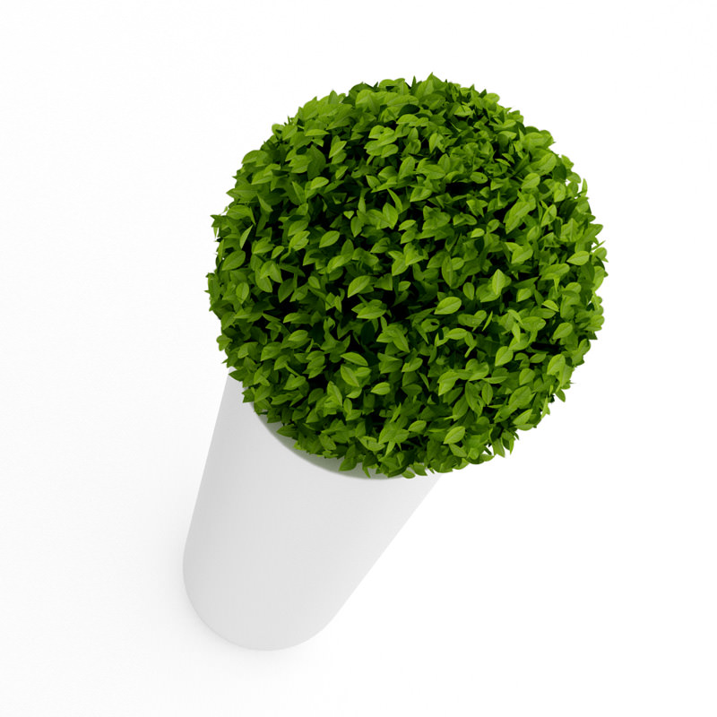 Spherical house plant 3D model_1