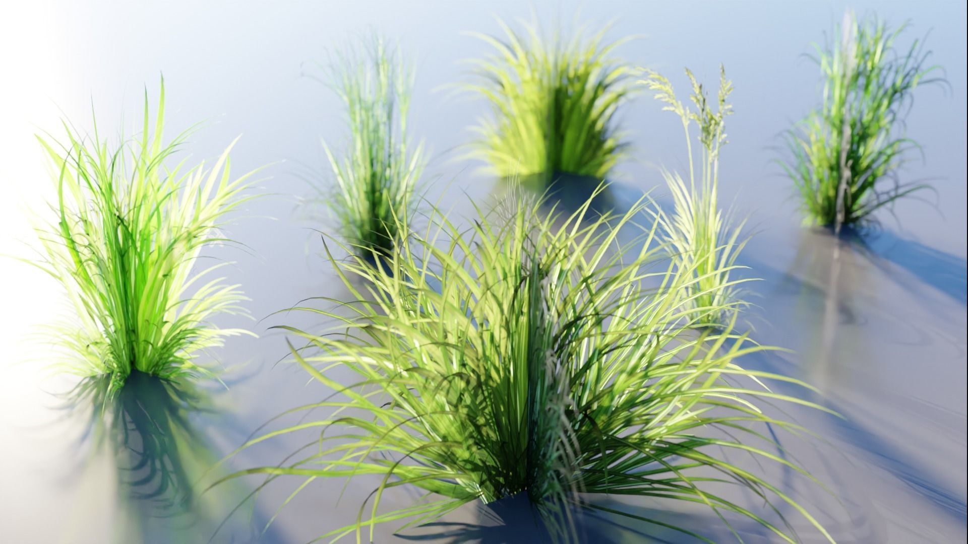 Low Poly Grass pack - 3D Model Low-poly 3D model_5