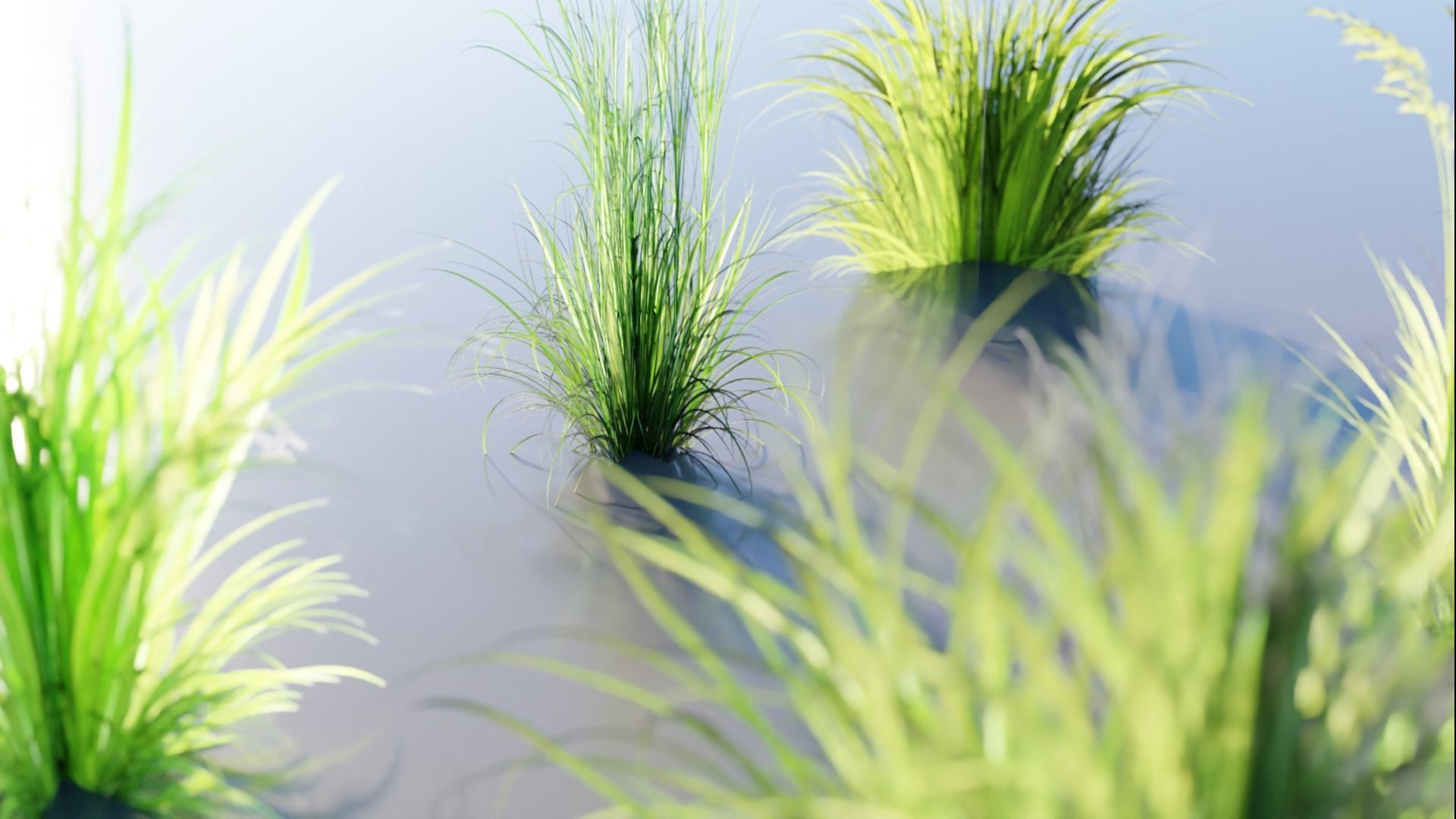 Low Poly Grass pack - 3D Model Low-poly 3D model_4