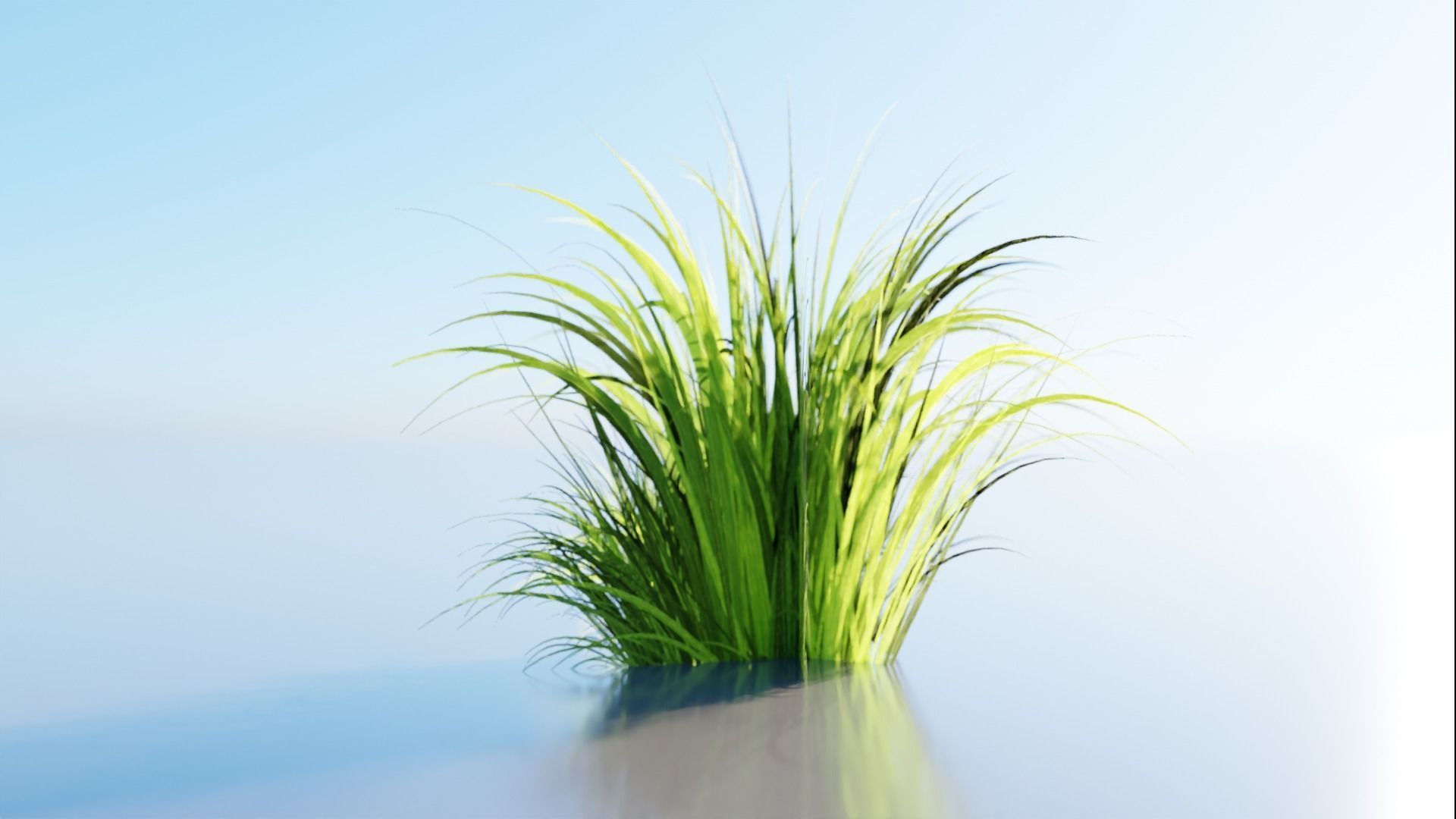 Low Poly Grass pack - 3D Model Low-poly 3D model_13