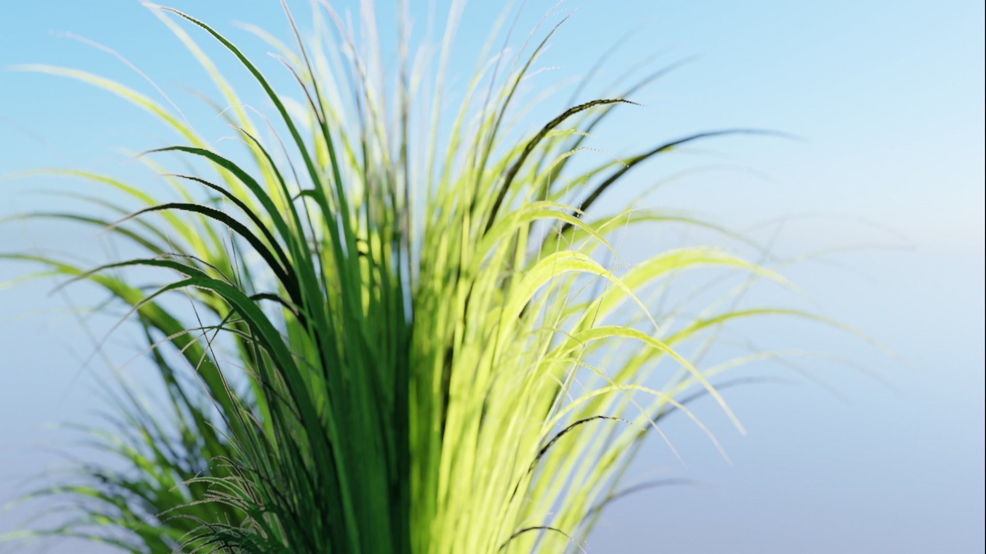 Low Poly Grass pack - 3D Model Low-poly 3D model_14