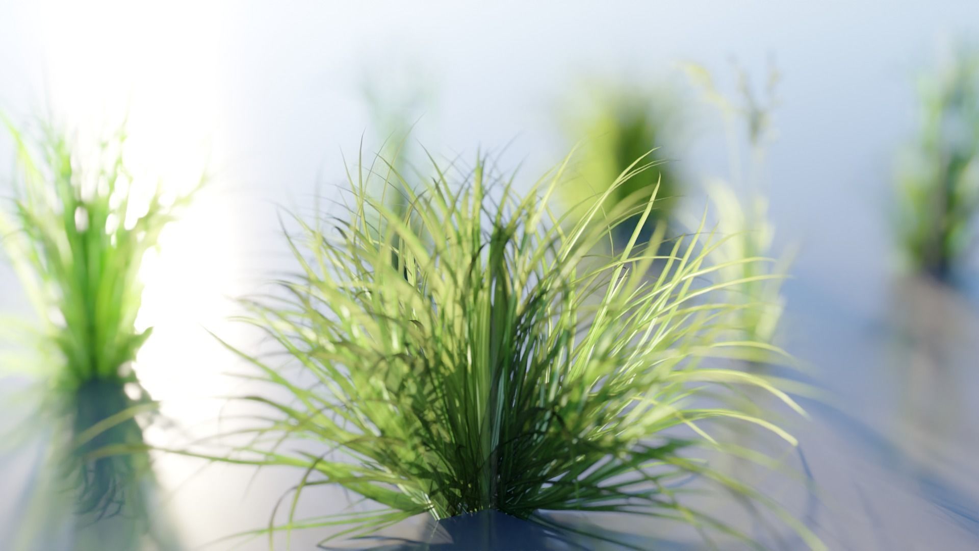 Low Poly Grass pack - 3D Model Low-poly 3D model_3