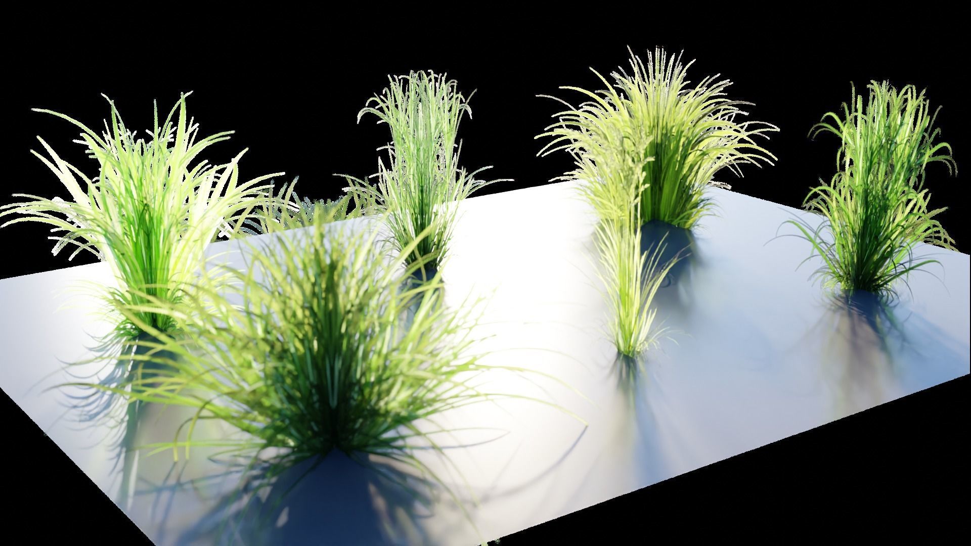 Low Poly Grass pack - 3D Model Low-poly 3D model_30