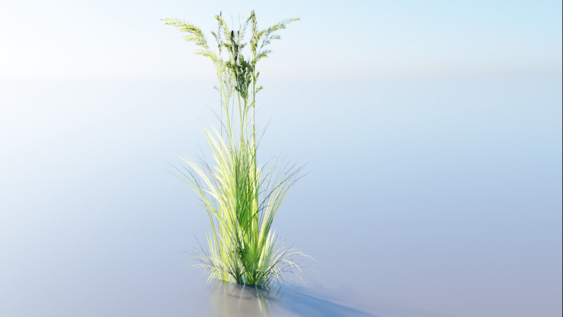 Low Poly Grass pack - 3D Model Low-poly 3D model_19