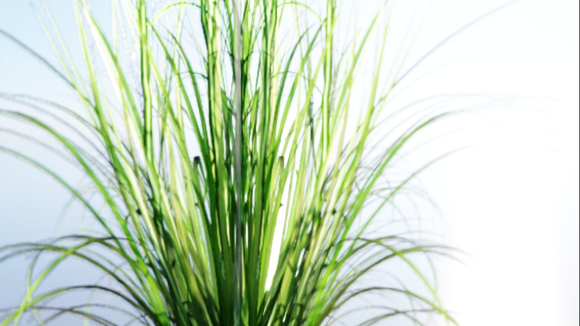 Low Poly Grass pack - 3D Model Low-poly 3D model_11