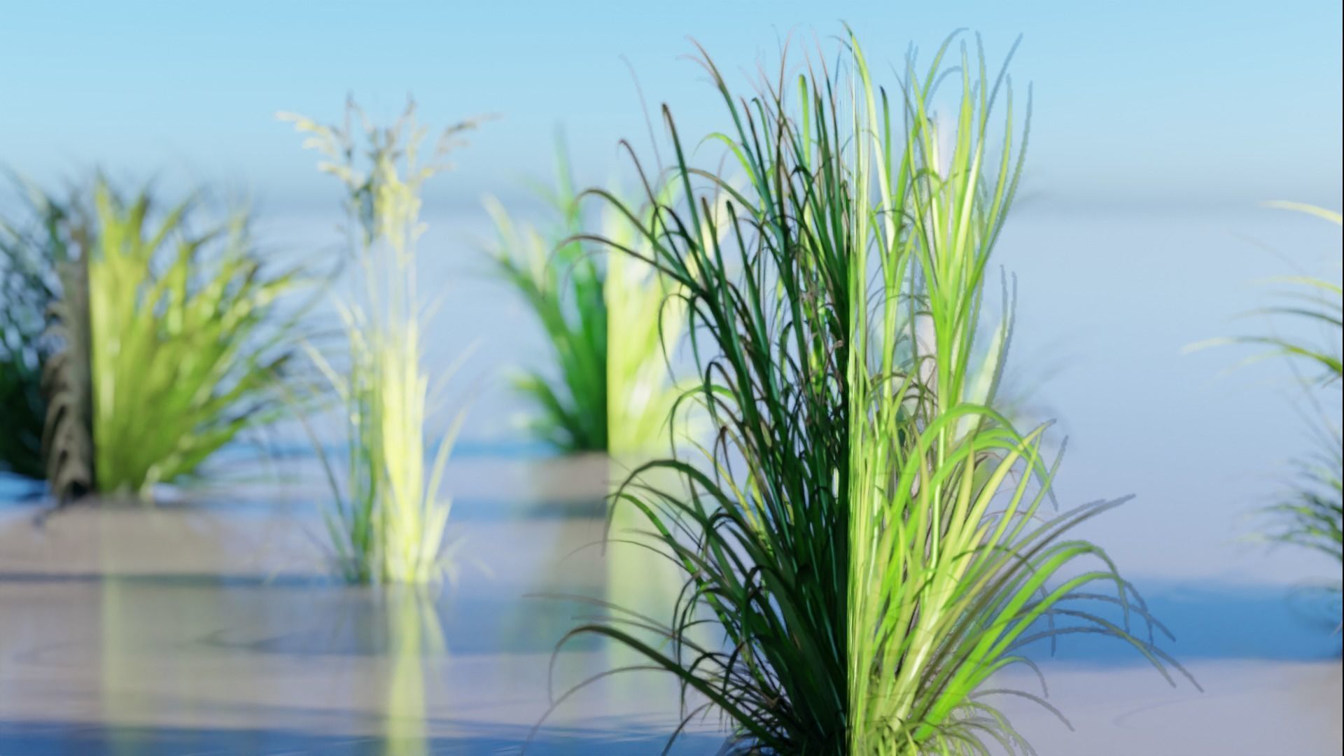 Low Poly Grass pack - 3D Model Low-poly 3D model_6